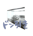 ゆる〜い かめ子。（個別スタンプ：12）