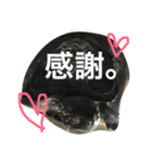 ゆる〜い かめ子。（個別スタンプ：13）