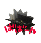 ゆる〜い かめ子。（個別スタンプ：15）