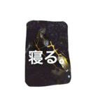 ゆる〜い かめ子。（個別スタンプ：16）