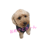 がちゅべいびー2（個別スタンプ：4）