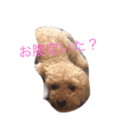 がちゅべいびー2（個別スタンプ：10）