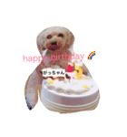 がちゅべいびー2（個別スタンプ：11）