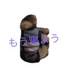 がちゅべいびー2（個別スタンプ：13）