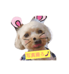がちゅべいびー2（個別スタンプ：15）