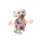 がちゅべいびー2（個別スタンプ：16）
