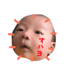 はらぺこれんくん（個別スタンプ：5）