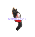 ホワイティ（個別スタンプ：1）