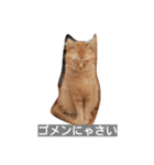 ホワイティ（個別スタンプ：2）