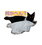 ホワイティ（個別スタンプ：6）