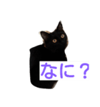 ホワイティ（個別スタンプ：8）