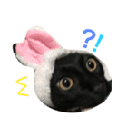 幸せのクロにゃんこ＊（個別スタンプ：5）