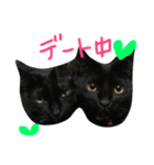 幸せのクロにゃんこ＊（個別スタンプ：16）