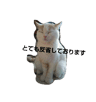 ぽんたのつぶやき（個別スタンプ：1）