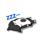 うちの福助（個別スタンプ：1）