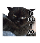 her name is Charlot（個別スタンプ：8）