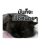 her name is Charlot（個別スタンプ：12）