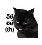her name is Charlot（個別スタンプ：15）