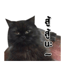 her name is Charlot（個別スタンプ：22）