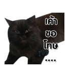 her name is Charlot（個別スタンプ：33）