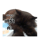 her name is Charlot（個別スタンプ：39）