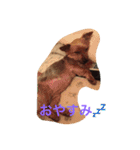 ウランと一緒（個別スタンプ：5）