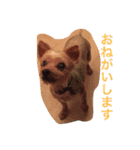 ウランと一緒（個別スタンプ：8）