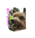 ウランと一緒（個別スタンプ：9）