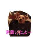 ウランと一緒（個別スタンプ：11）