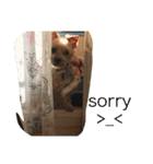 ウランと一緒（個別スタンプ：13）