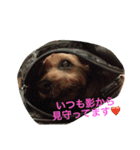 ウランと一緒（個別スタンプ：14）