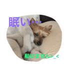 ウランと一緒（個別スタンプ：15）