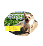 ウランと一緒（個別スタンプ：16）