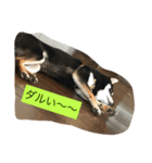 勘ちゃん 1（個別スタンプ：2）