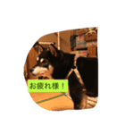 勘ちゃん 1（個別スタンプ：4）