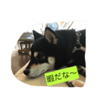 勘ちゃん 1（個別スタンプ：7）