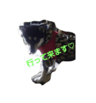 Kurosiba  MARO（個別スタンプ：4）