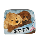 れんくん・プードル・トイプードル（個別スタンプ：4）