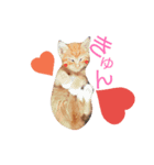 タマの寝言（個別スタンプ：8）