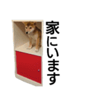 ゆきちライフ（個別スタンプ：22）