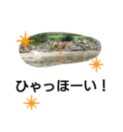 ゆきちライフ（個別スタンプ：28）