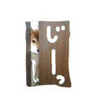ゆきちライフ（個別スタンプ：34）