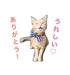kiiちゃん   2（個別スタンプ：1）