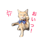kiiちゃん   2（個別スタンプ：3）