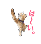 kiiちゃん   2（個別スタンプ：4）