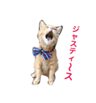 kiiちゃん   2（個別スタンプ：10）