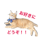 kiiちゃん   2（個別スタンプ：17）