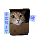 kiiちゃん   2（個別スタンプ：22）