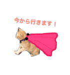 kiiちゃん   2（個別スタンプ：23）
