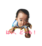 カヴィちゃんスタンプ❸（個別スタンプ：24）